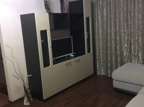 NSK Na Vatutina 24 Apartments