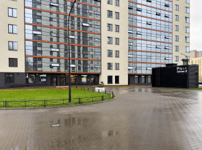 Апартаменты Pulkovo Star