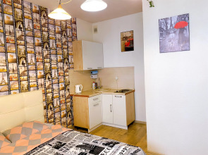 Квартира на Московское шоссе