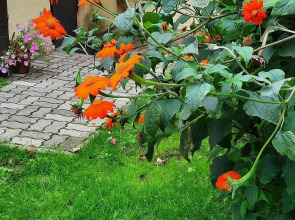 Квартира 2-х комнатная квартира с отдельным входом