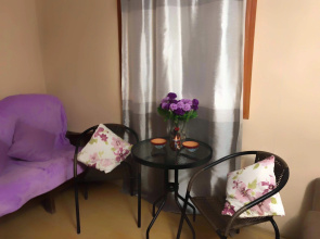 Vinogradnaya Loza Apartments