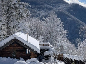 HILLS1200. Резиденция. Глэмпинг. Бани.