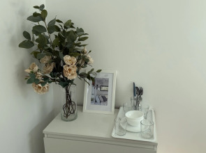 Меблированные комнаты Зубовском (1)