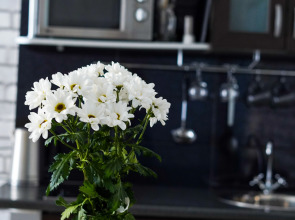 Апартаменты Diaday Irk 5