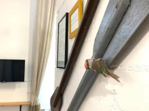 Апартаменты Live in Karelia на Федосовой 27