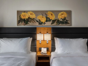 Отель Hilton Garden Inn Tbilisi Chavchavadze