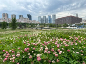 Апартаменты Lalapart Crystal комфорт и стиль в ЖК Лайнер