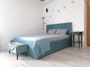 Апартаменты Просторные аппартаменты с джакузи