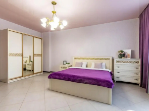 Апартаменты в Самом Центре на Белинского 30 (567)