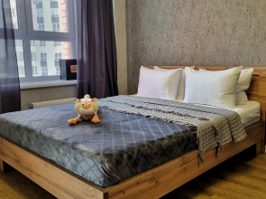 Ryzhiy Kot Nord Apartments