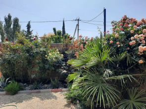 Жилое помещение Гавайи