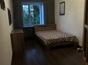Dvukhkomnatnaya V Tsentre Goroda Flat
