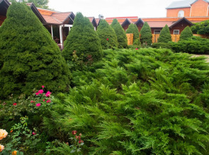 Гостевой дом Усадьба Александрия