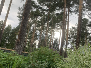 Мини-отель Подснежник