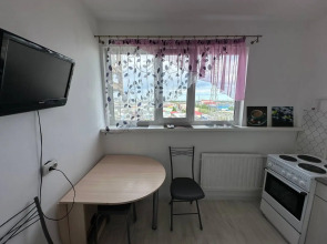 Квартира Однокомнатная на Геологоразведчиков 4