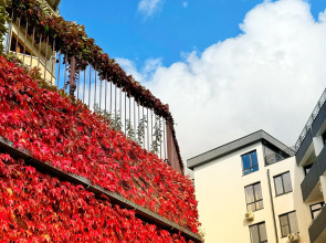 Апартаменты с балконом 3 минуты до моря