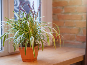 Апартаменты HB apartments Beridze II