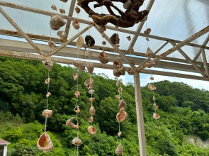 Гостевой дом Пальма Туапсе