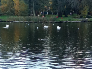 Квартира 2-х комнатная квартира с отдельным входом