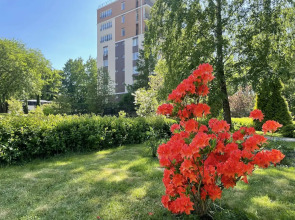 Апартаменты Sea&Sun Comfort+