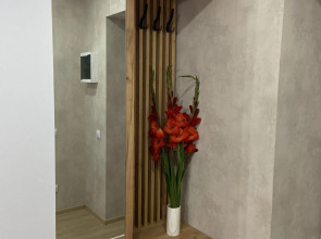 Квартира студия в центре города 50 оттенков серого