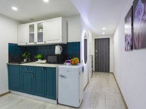 Квартира на Оптическом проезде 1 (2)