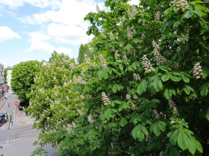 Квартира в Центре