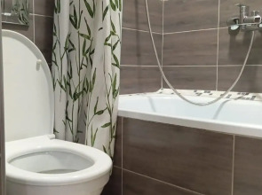 Апартаменты Уютные на Флотской