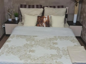 Квартира на Ленина 2