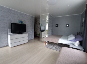 Квартира в центре Тулы напротив стадиона Арсенал и Likerka Loft для 1-4 человек