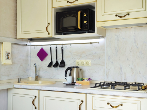 Апартаменты однокомнатная квартира на Фермора район "Сельма"