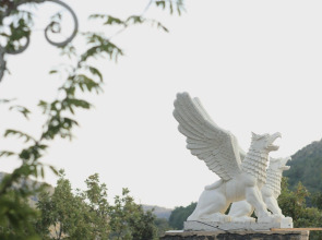 Отель Крылья