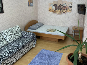 Odnokomnatnaya Flat