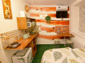 Апартаменты Студия в Экостиле