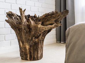 Секвойя by Uloo