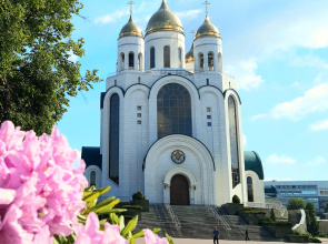 Квартира Отличная 2к в Центре Калининграда