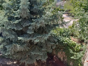 Гостевой Дом Камерата