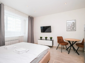 Апартаменты Домант Романова 60/1 (4)