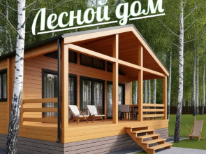 Lesnoy Ostrov Private house
