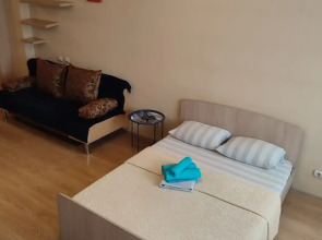 Апартаменты на улице Никитина 107