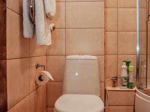 Апартаменты двухкомнатные в центре у озера