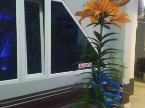 Гостевой дом John's