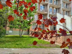 Санаторий-Профилакторий Лесной дворик ЖМЗ