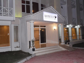 Отель Winecity