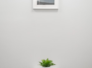 Мини-Отель Три Барсука