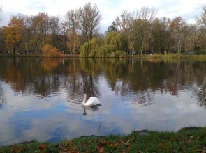 Квартира Дом Путешественника