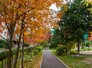 Апартаменты в Жк Оазис с Красивым Видом