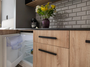 Апартаменты Стильные у метро Ал. Невского (5022)