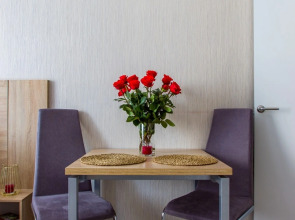 Апартаменты Студия Natalie Apartments Пулковское шоссе 14с6