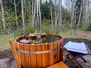 S Kaminom I Potryasayuschim Vidom Na Les Private house